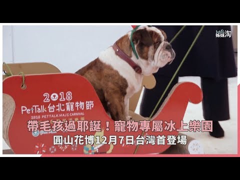 竟然有毛孩溜冰場！2018「台北寵物節」毛孩白色聖誕遊樂園開跑，帶寶貝們去過聖誕吧| 姊妹淘babyou