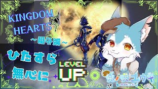 【KINGDOM HEARTS-HD 1.5+2.5 ReMIX-】#番外編 EXP装備アイテムを作りたい！！レベルもあげたい！！だけの配信✨（キンハ/キングダムハーツ）