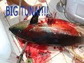 Deep sea fishing for yellowfin tuna bora bora fishing charters