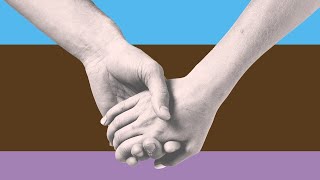 What is ANDROSEXUALITY?