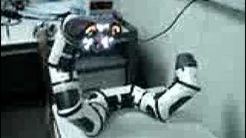 Roboboa Dancing Snake Robot