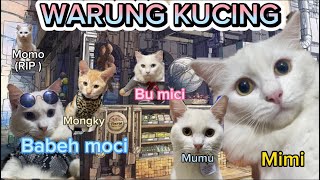 #1 WARUNG KUCING 2023 ‼️Episode 1 #viral #trending