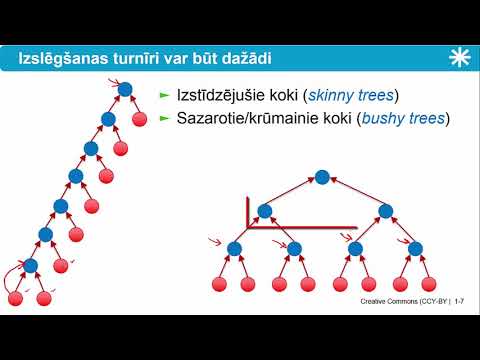 Video: Kāda ir Kolba pieredzes mācīšanās teorija?