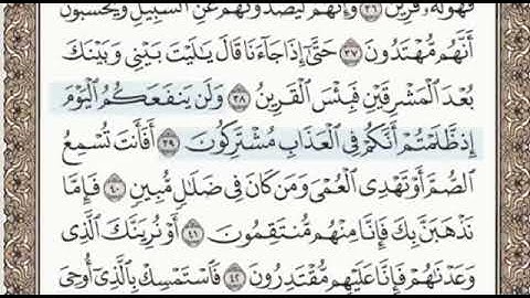 سورة الزخرف الصفحة 492 الشيخ محمد صديق المنشاوي