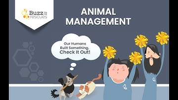 Learn How to Manage Animals in Buzz: 11-Minute Deep Dive