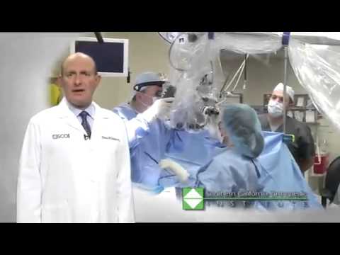 Dr Steven A Schopler