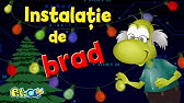 Aventuri La Firul Ierbii Melcul Relaxing Video Youtube