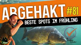 ABGEHAKT #81: 🎣 👍 Beste Frühlingsspots 🌿🐟
