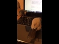 それでも君が好き