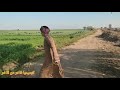 انطزرونا الي جاي احله انطزرونا الي جاي احله
