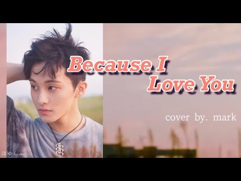 カナルビ 歌詞付き 日本語字幕 Because I Love You Cover By Mark Lee Youtube カナルビ 歌詞付き 日本語字幕 Because I Love You Cover By Mark Lee Youtube