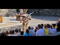 Aves del paraiso show at portaventura theme park exotic bird show