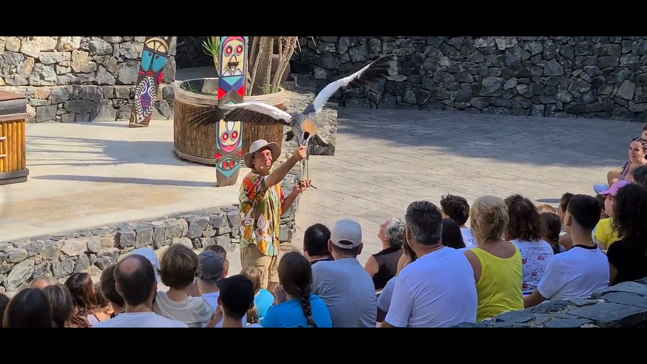 Aves del Paraiso show at portaventura theme park (exotic bird show)