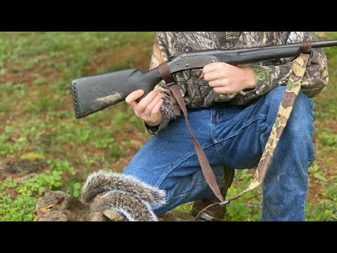 hunting squirrel shotgun