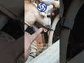 throttle valve failure#mechanic