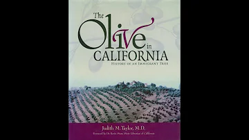 The Olive In California