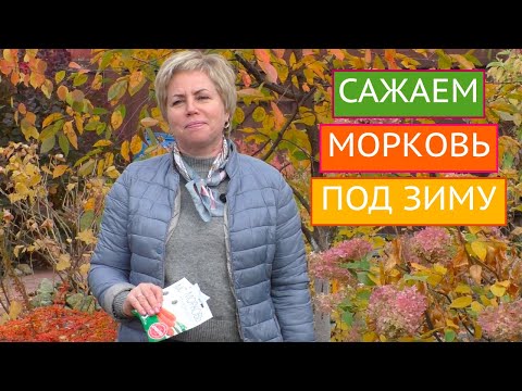 ПОДЗИМНИЙ ПОСЕВ МОРКОВИ! СЕКРЕТЫ И ПРАВИЛА!