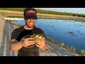 I CAUGHT 3 FISH ON MY 1ST DAY BACK