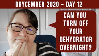 CAN I STOP MY DEHYDRATOR OVERNIGHT? DRYCEMBER DAY 13  Safely running your dehydrator