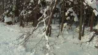 Video thumbnail of "Vain lunta kaikkialla - Danny"