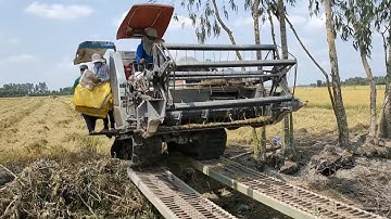 Quay cảnh máy cắt dc70 chạy xong bò qua vĩ cầu 7m để cắt tiếp combine harvester