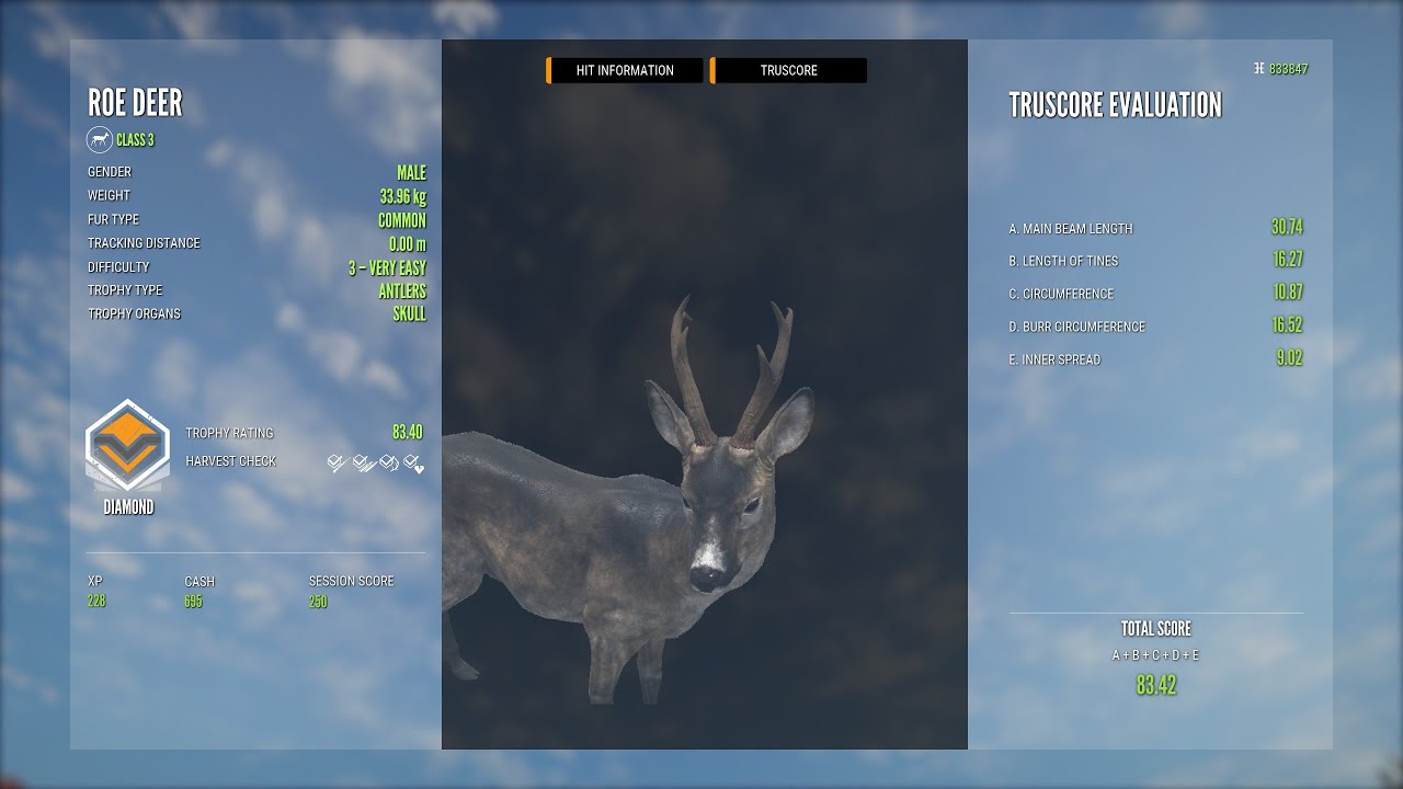 COTW Roe deer (Capriolo) diamante da Hirschfelden. - YouTube