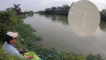 Câu cá diếc mùa đông | Câu cá diếc bằng mồi ngũ cốc