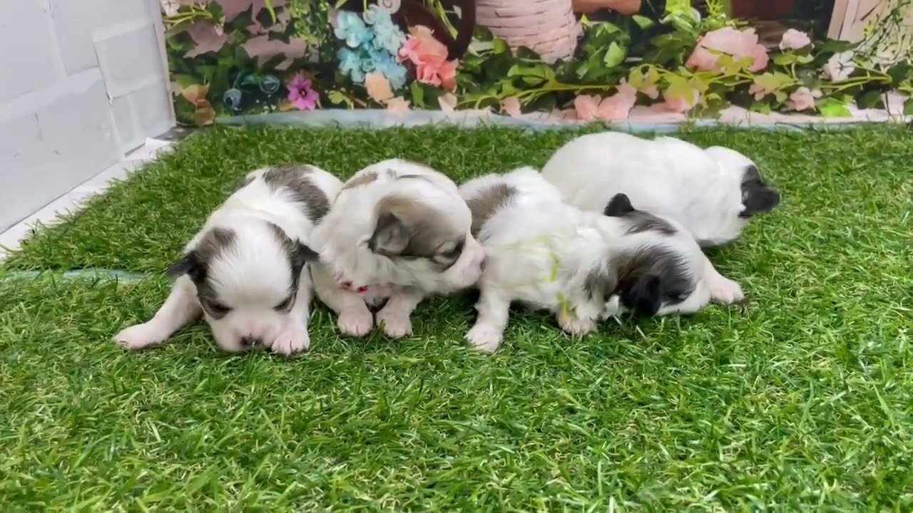 うーの仔 　1回目の撮影