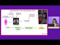 ECR 2025 webinar | Dr. Vourtsis on boosting accuracy and efficiency with ABUS innovation