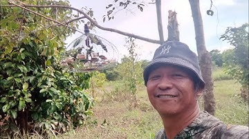 Mencuba teknek baru mikat serindit di port keras tompinai.