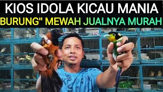 🟡KIOS IDOLA KICAU MANIA BURUNG\