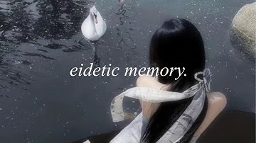 1X ★ eidetic memory.