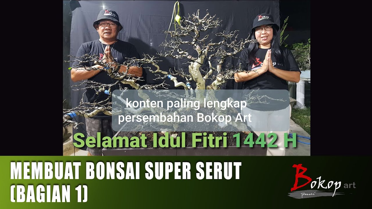 MEMBUAT BONSAI SUPER SERUT (bagian 1)