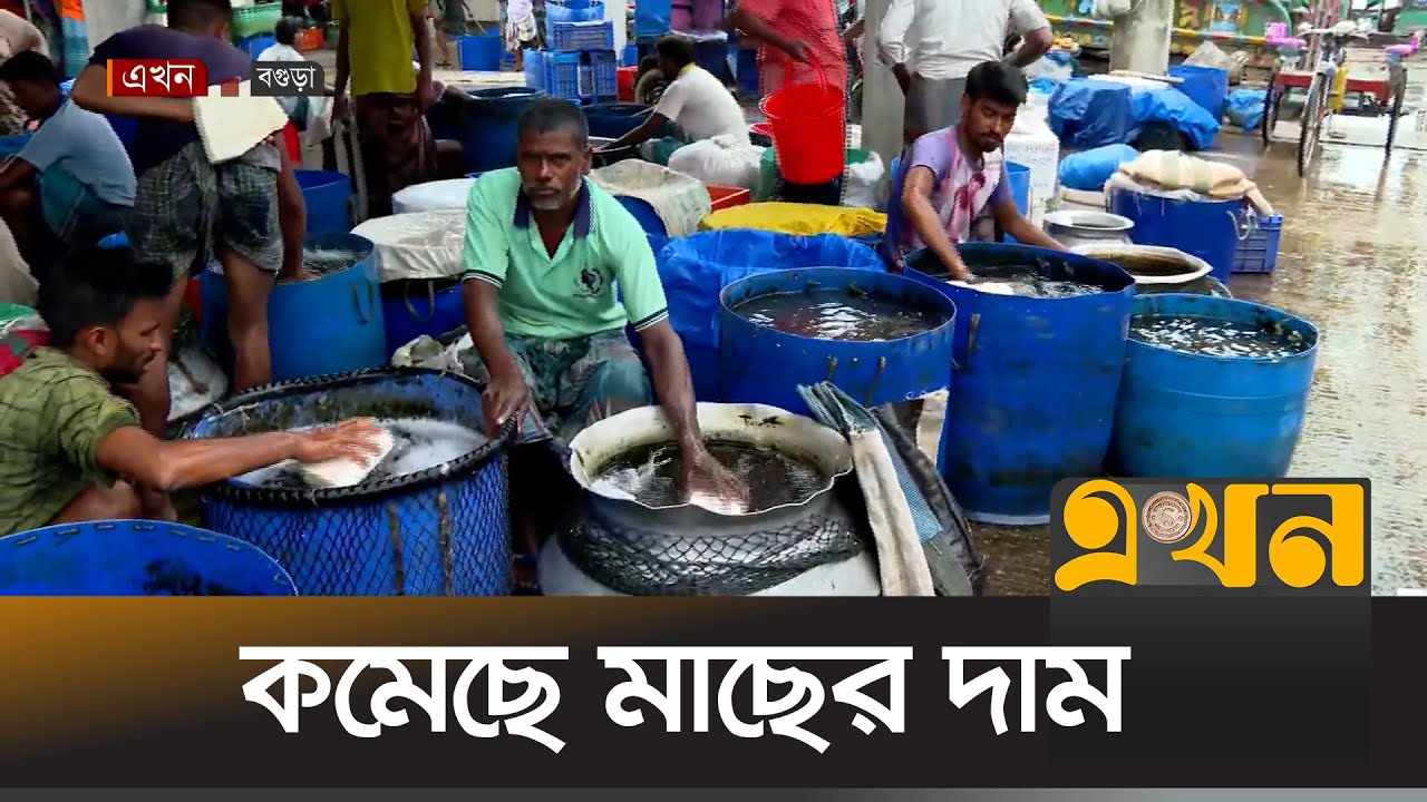 কম দামে মাছ বিক্রি করায় লোকসানে ক্রেতারা | Bogra News | Fish Market ...