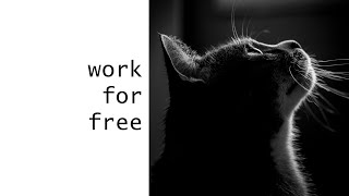 How To Make Money With Photography | Foxs.Shots