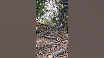 Tôi làm con dao quắm phát rẫy bằng thép vòng bi xe lửa chặt cây tre như chặt chuối vậy