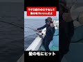 髪の毛でマグロを釣る