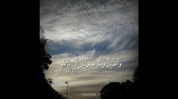 قران كريم -بصوت ابو بكرالشاطري |حالات واتس اب دينيه😢😔