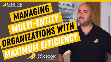 Managing Multi-Entity Organizations with Maximum Efficiency