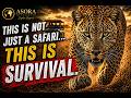 Maasai Mara KENYA Be Honest Would You Actually Go Here 