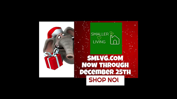 Big Xmas sale ad 1