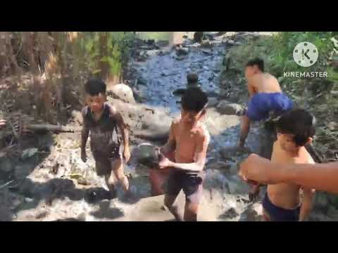 limas Sa sapa na may heto at ibang Uri Nang isda