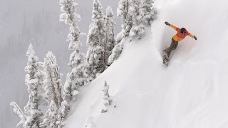 Snowbird - January 8, 2016