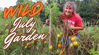 Garden Out of Control | Late July Garden Tour