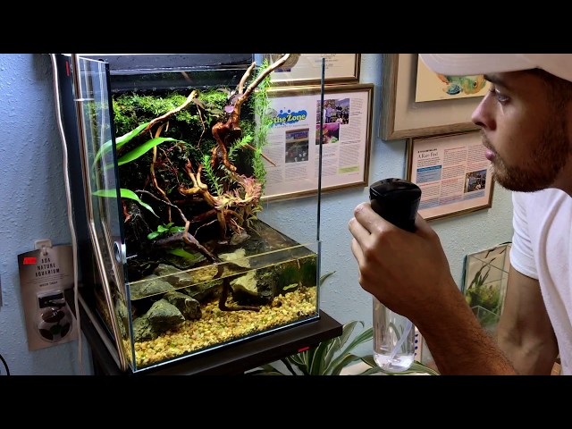 ADA Aquarium/DOOA terra 30 Re-Scape - YouTube
