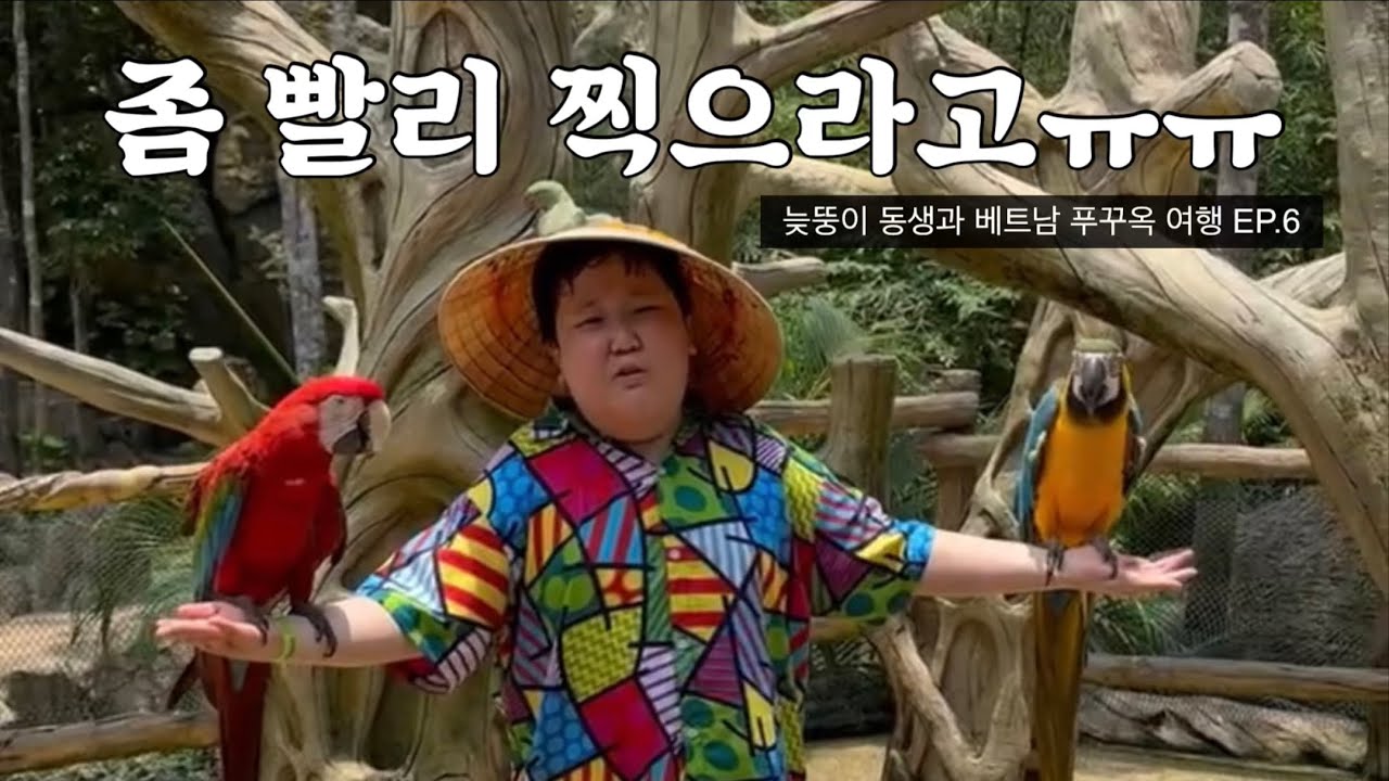 EP.6 늦뚱이 동생과 베트남 푸꾸옥 여행 (푸꿕 빈펄랜드 사파리/앵무새랑 사진 찍기/기린식당/빈펄 셔틀버스/코티지 빌리지 수영장/푸꾸옥 가성비 마사지/야시장 꼬어이)
