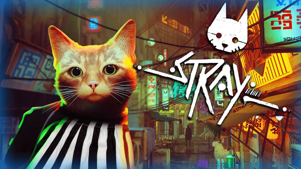 Troublesome Cat Causing Mischief in Midtown! - Stray Part 5