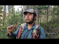What do you do as a forestry technician in northern bc