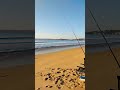 Beach fishing in eden fishing fishingaustralia fish justfishing