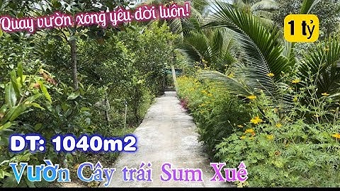 Tập2287♥️🌸( Đã Bán )Vườn Cây Trái Sum Xuê giá 1 tỷ ở xã Bình Trưng Tiền giang